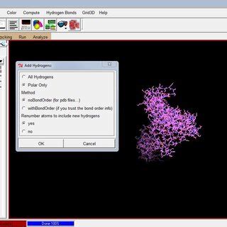 Hydrogen bond selection in protein structure | Download Scientific Diagram