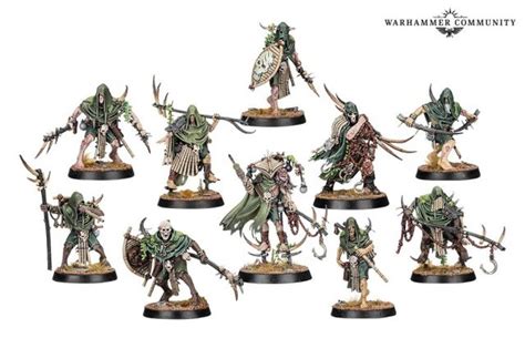 Rotmire Creed Warband Warcry Guide Age Of Miniatures