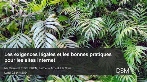 REPLAY Sites internet dentreprises aspects légaux aides financières