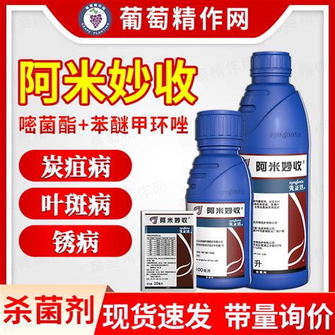 先正达阿米妙收金棠苯甲嘧菌酯葡萄水稻辣椒叶斑炭疽病农药杀菌剂虎窝淘