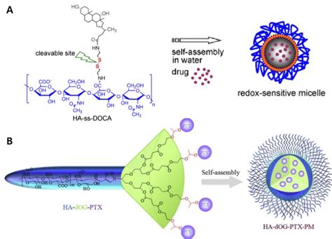 Small Molecule Conjugated Hyaluronic Acid HA Micelles A