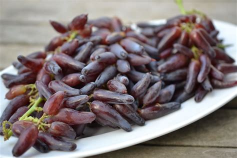 Witch Fingers Grapes Plants