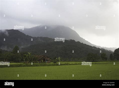 Sharavathi river hi-res stock photography and images - Alamy