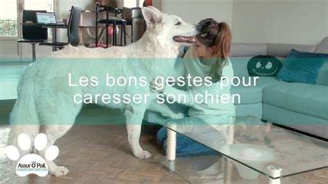 Elle Aime La Bite De Son Chien Chien Nouvelles