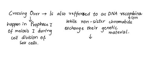 Solved During Meiosis Crossing Over Gene Exchange Between