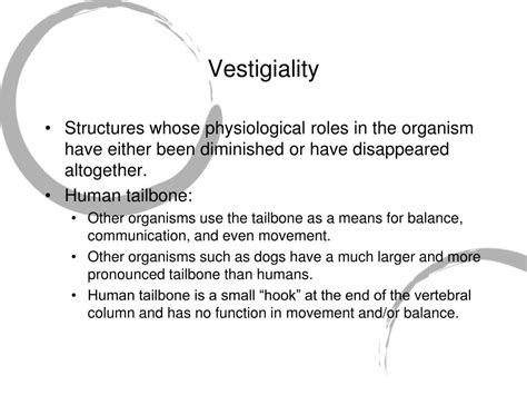 Ppt Evolution In Humans And The Thoughts Of Major Evolutionary