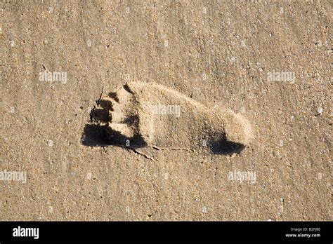 Human Footprint Hi Res Stock Photography And Images Alamy