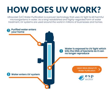 Ultraviolet Light Water Treatment Process Shelly Lighting