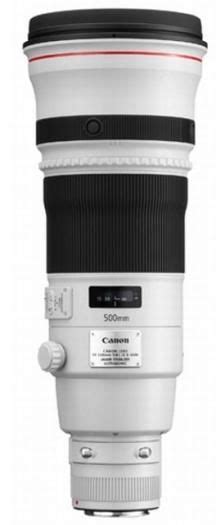 Canon EF 500mm F 4 L IS II USM Foto Erhardt