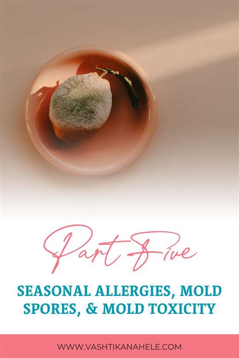 Seasonal Allergies Mold Toxicity Vashti Kanahele