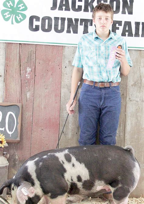 2020 Jackson County Fair Sheep Swine And Dairy The Holton Recorder