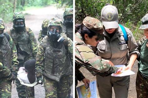 Forças Armadas Brasileiras se Destacam em Missões de Paz da ONU