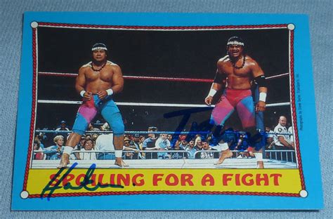 Ric Flair vs. Kevin Von Erich (and other Dream Matches!) - Scott's Blog of Doom!