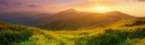 Environment – Pristine Food Solutions