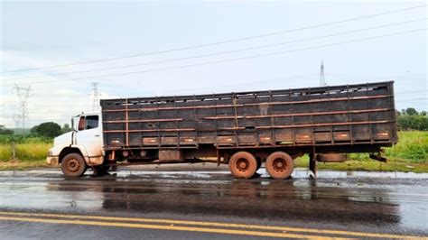 PRF apreende dois caminhões transportando animais de forma irregular na