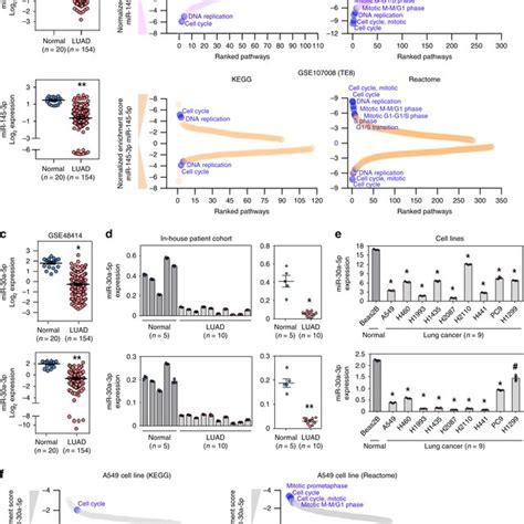 Cooperative Effects Of Mirna 5p3p Mediated Gene Regulation In Cancer