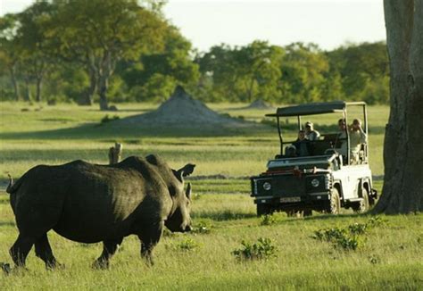 Zimbabwe: Tourism on the Road to Recovery | .TR