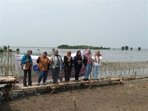 Bantu Wujudkan Indonesia Hijau Pnm Kembali Tanam Mangrove Di