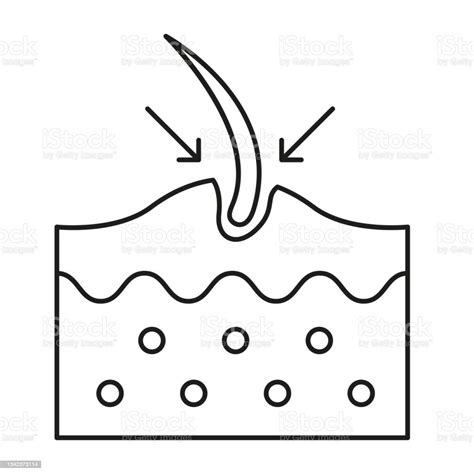 성형 외과 피부과 및 모발 또는 피부 아이콘 모낭에 대한 스톡 벡터 아트 및 기타 이미지 모낭 일러스트레이션 건강 진단