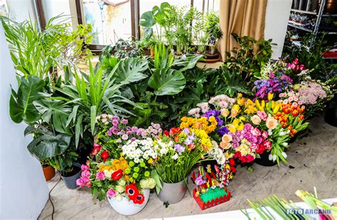 Florăria Antonias Flower Paradise vă oferă buchete şi aranjamente