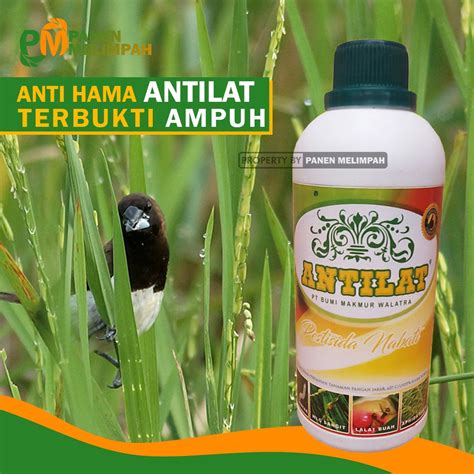 Jual Pupuk Pestisida Organik Cair Insektisida Organik Obat Anti Hama