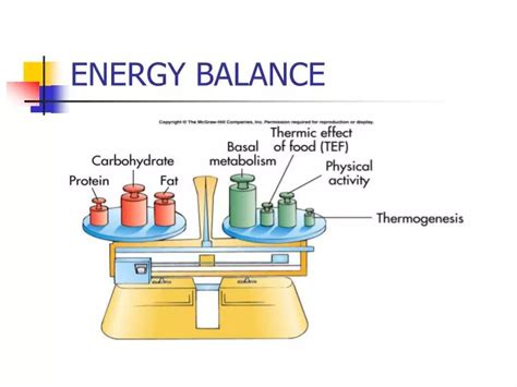 Ppt Energy Balance Powerpoint Presentation Free Download Id1402513