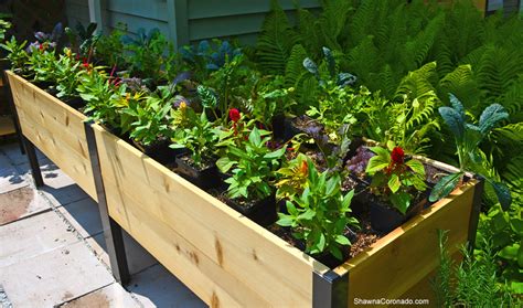 Elevated Garden Beds With Ornamental Edible Vegetables