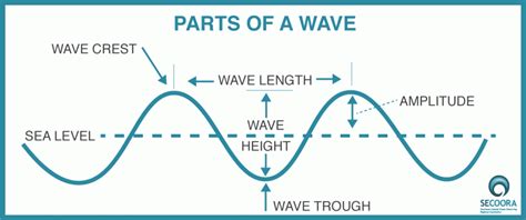 Labeled Parts Of A Transverse Wave