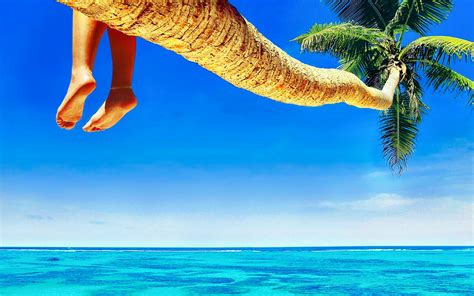 Download Summer Maldives Sunny Palm Tree Feet Blue Turquoise Horizon