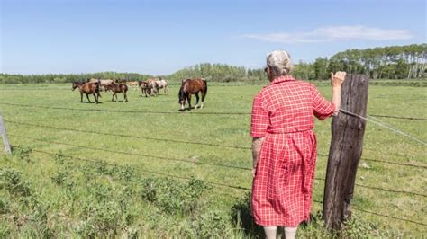 Zorgboerderij Voor Ouderen Mensen Met Dementie Groeioord