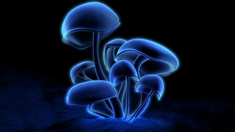 TISOTIT: Psychedelic Mushroom Wallpaper