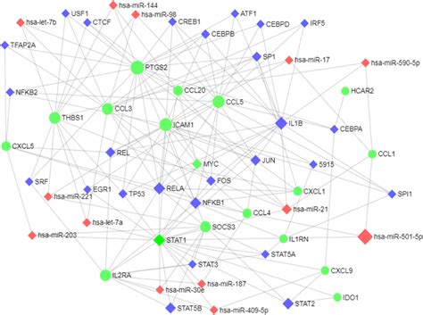 Integrative Regulatory Network Of TF DEG MiRNA Abbreviations TF