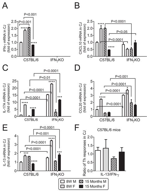 Aging Induces Sex And Age Specific Findings In Conjunctiva Relative