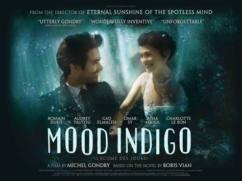 Movie Review: Mood Indigo - Electric Shadows