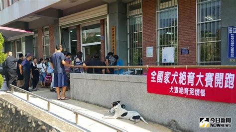 農委會家犬絕育大賽 新豐鄉榮獲全國績優 地方 Nownews今日新聞