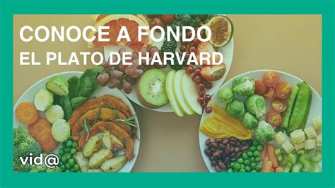 ¡descubre Cómo El Plato De Harvard Puede Transformar Tu Alimentación De Manera Fácil Y Saludable