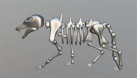 artstation wolf skeleton game assets