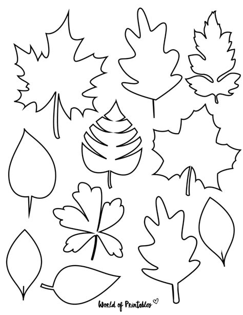 Printable Leaf Templates Outlines Shapes Free World Of Printables