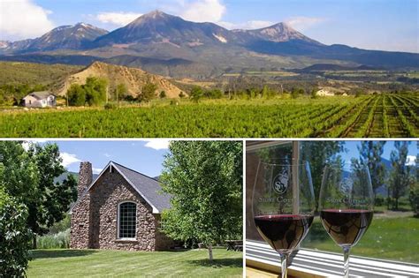 Stone Cottage Vineyard Shows Off Amazing Views of Paonia Colorado