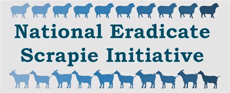 National Eradicate Scrapie Initiative – Simple, Accurate Scrapie Eradication Program Info