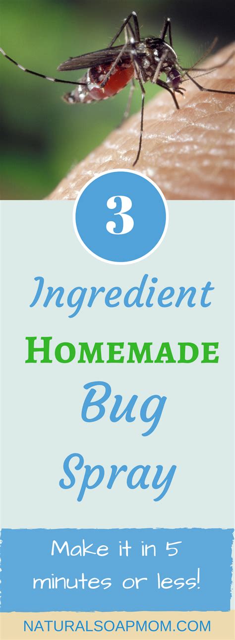 How To Make Homemade Bug Spray With Only 3 Ingredients Homemade Bug Spray Insect Spray Bug