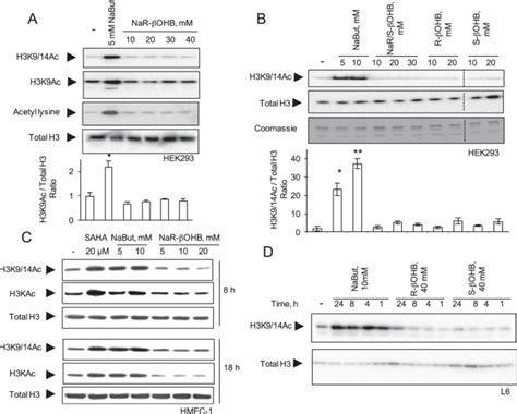 Prominent Action Of Butyrate Over Hydroxybutyrate As Histone