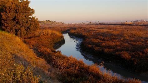 Don Edwards San Francisco Bay National Wildlife Refuge In Fremont