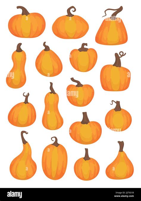 Calabazas de varias formas Colección de ilustraciones vectoriales