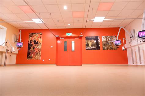 Altro floors & walls set the standard for dementia-friendly wards at ...