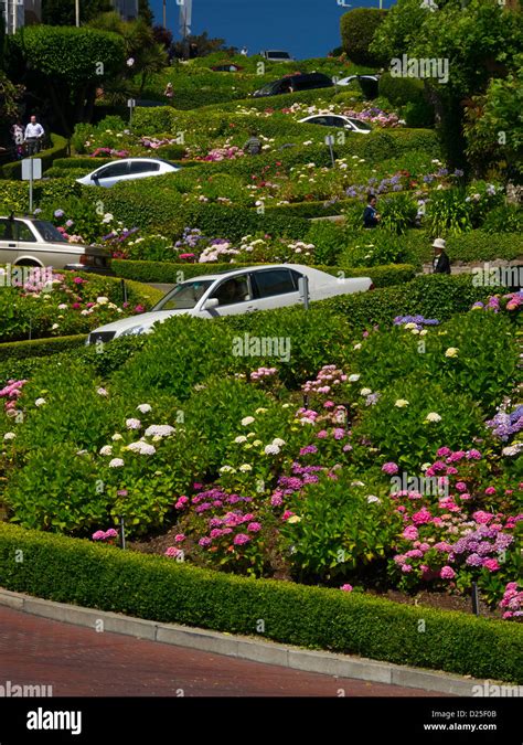 Lombard Street San Francisco California Stock Photo Alamy