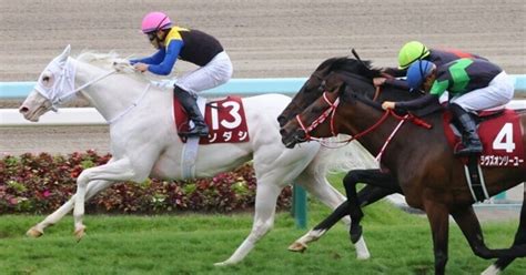 札幌記念gⅡとテレビ西日本賞北九州記念gⅢ予想｜ぼ～すけ＠競馬・株