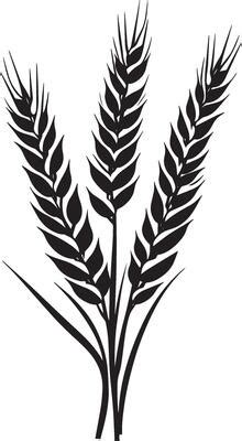 Wheat Silhouette Vector Art, Icons, and Graphics for Free Download