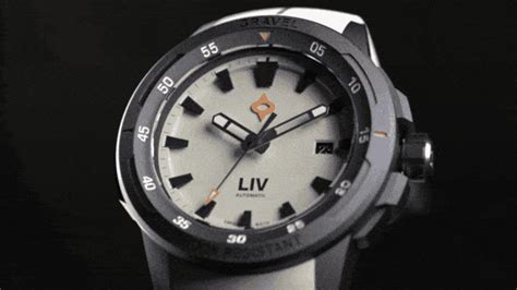 Liv Swiss Watches Checklist Includedbe Ready Milled