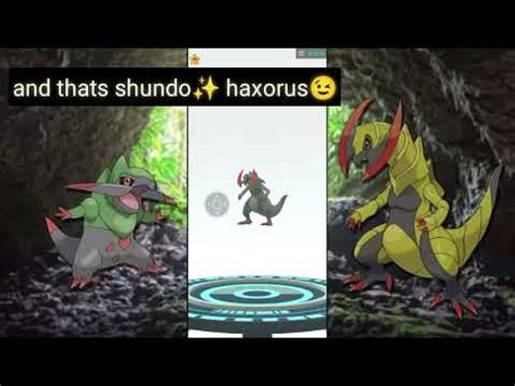 Axew Community Day Pokemon Go Shudo Axew Evolve Axew